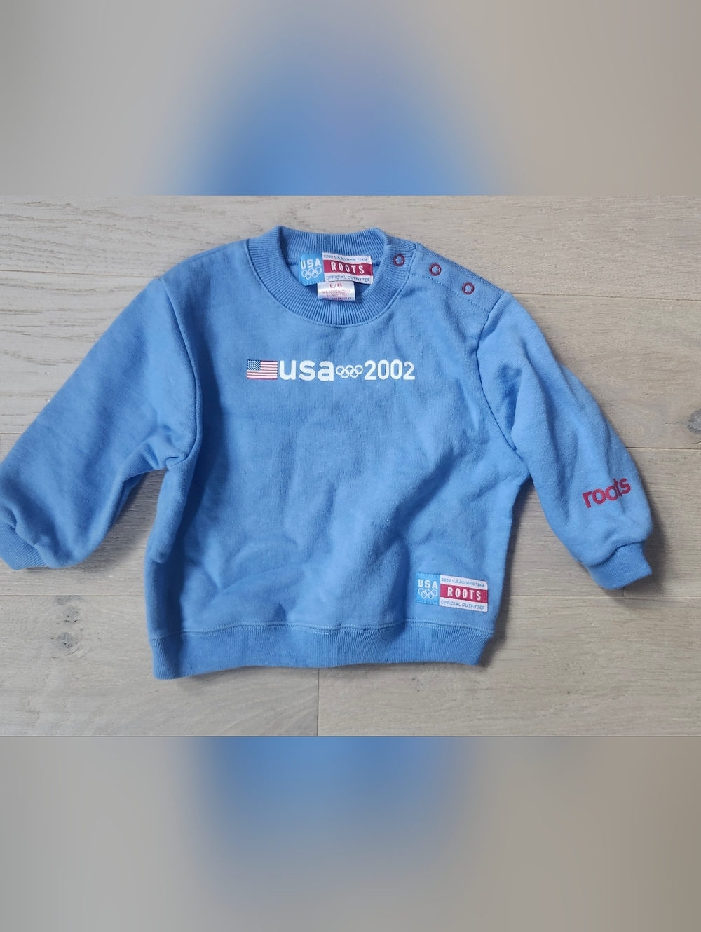 Vintage Roots 2002 Sweater Blue Size Large